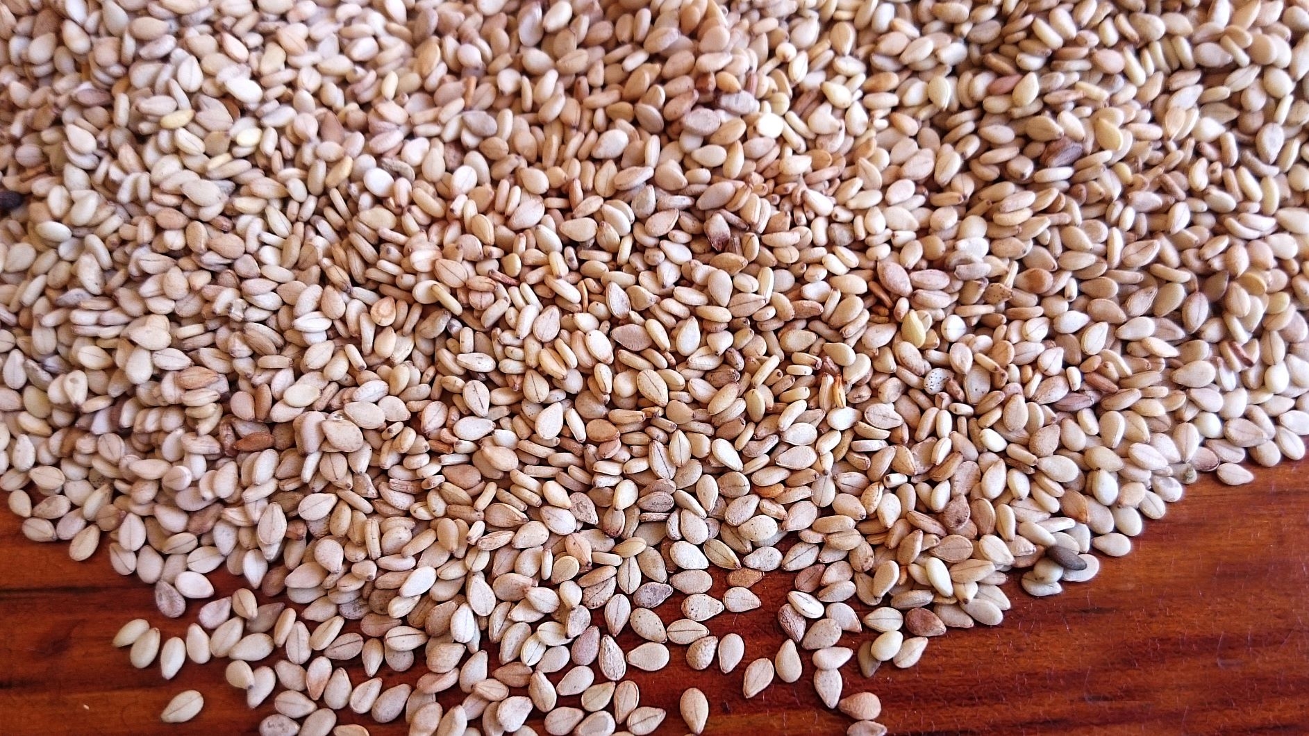 Qadaref White Sesame